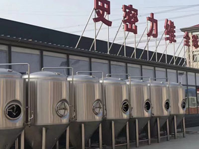崇阳精酿啤酒设备厂—如何判断精酿啤酒设备的密封件需要更换？